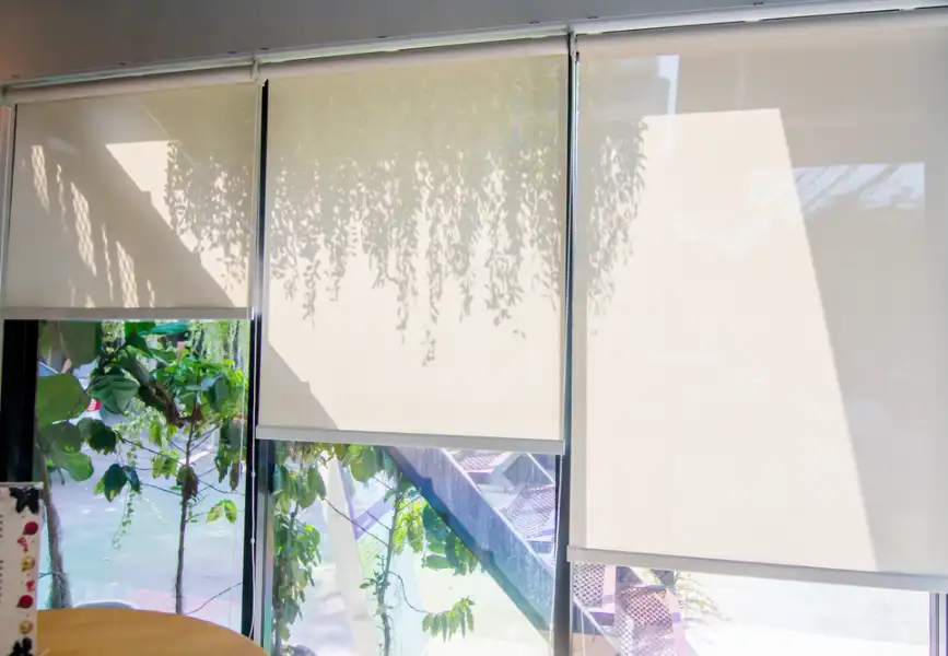 SunScreen Blinds (2)