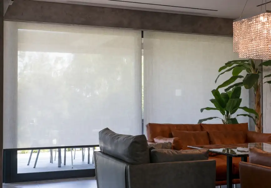 SunScreen Blinds (3)