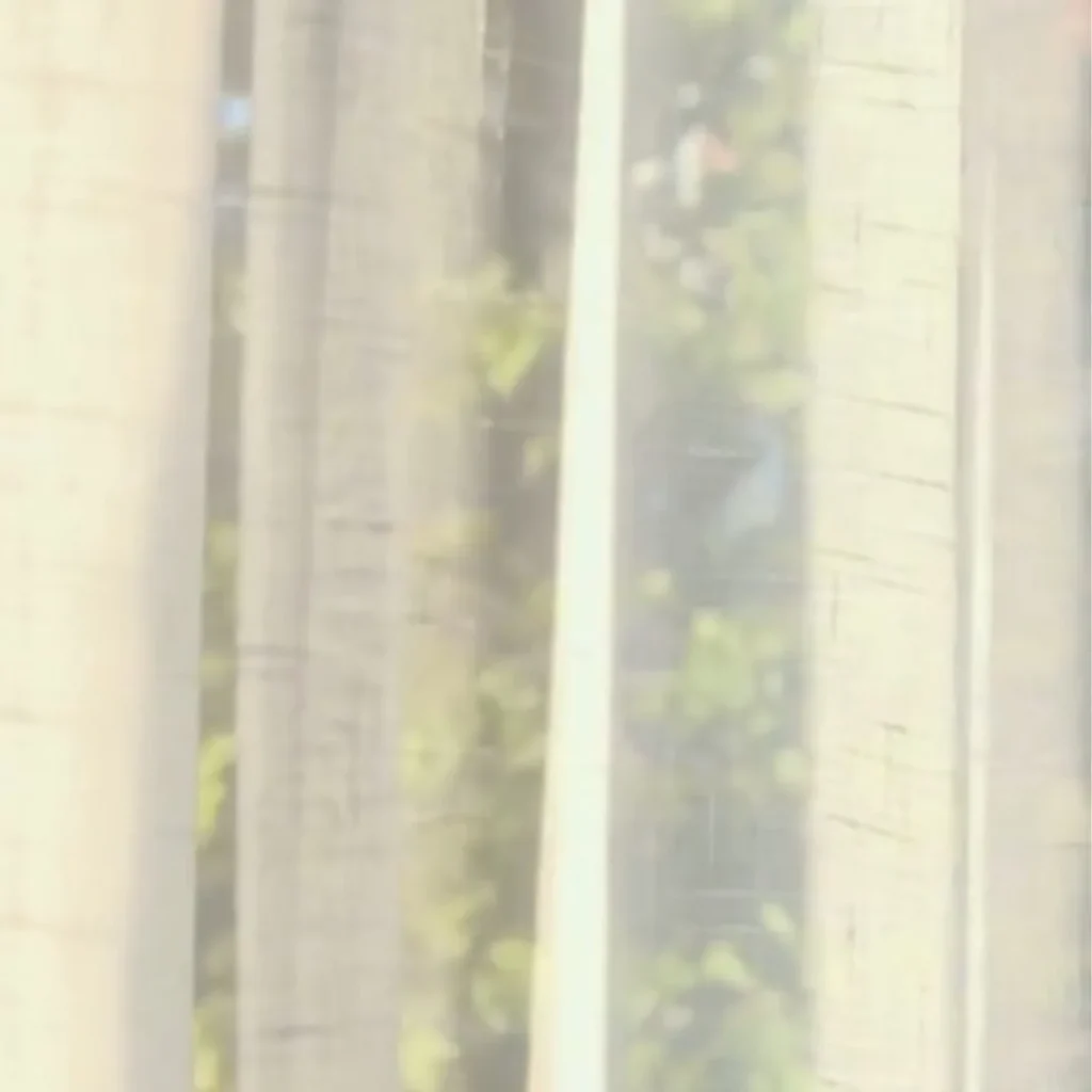 How Curtains Can Improve Energy | Eco-Friendly Dubai Interiors