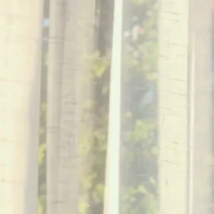 How Curtains Can Improve Energy | Eco-Friendly Dubai Interiors