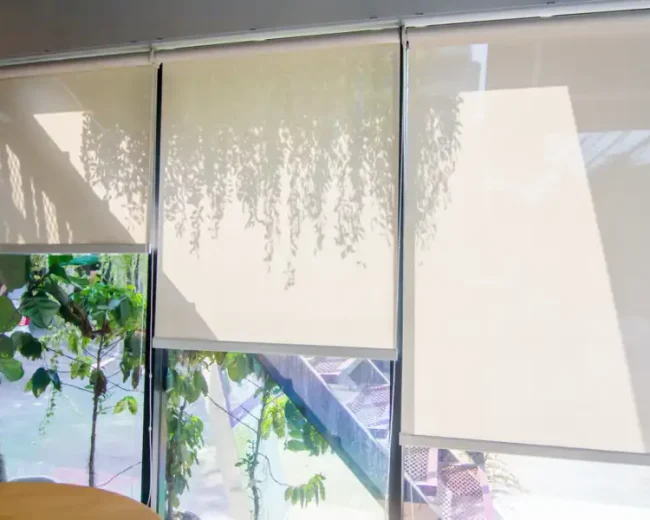 SunScreen Blinds (2)